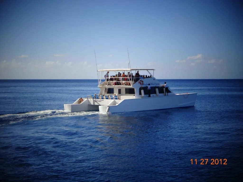 *** Guest house Anchorage Hotel, Whale Watch & Dive Center Roseau Dominica